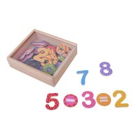 מארז מגנטים מספרים, הכולל 45 חלקים צבעוניים