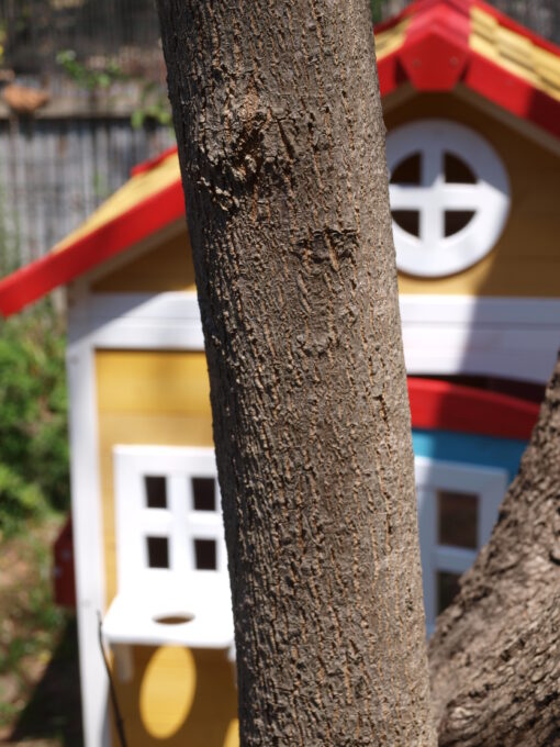 ⁦בית עץ לחצר עשוי מעץ אורן איכותי  בצבעי עץ, אדמה ותכלת  130X114X135⁩ – תמונה ⁦19⁩