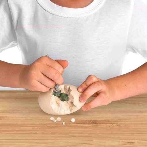 ערכת חפירה ביצת דינוזאור - National Geographic