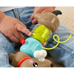2 כלב חיית מחמד לפיתוח מוטוריקה עדינה מבית Fisher Price