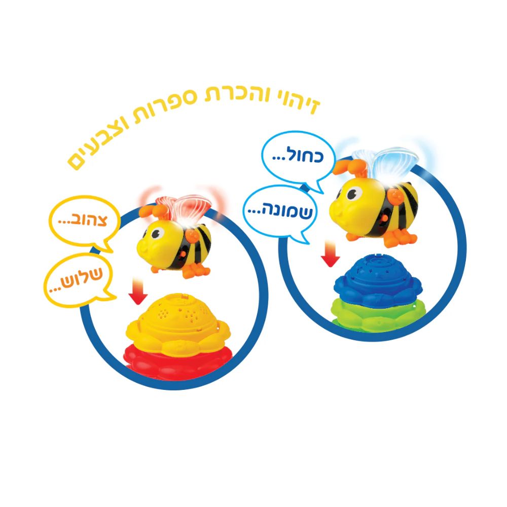 הדבורה החכמה 3 ב 1 מבית Winfun – תמונה 3